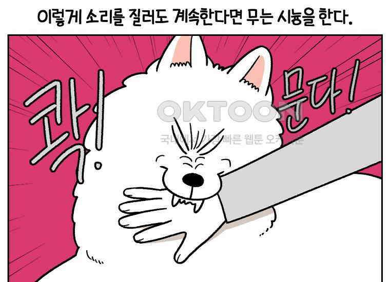 극한견주 시즌2 36화 개와 고양이의 신체 언어 44