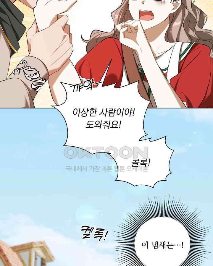 말괄냥이 길들이기 17화 3