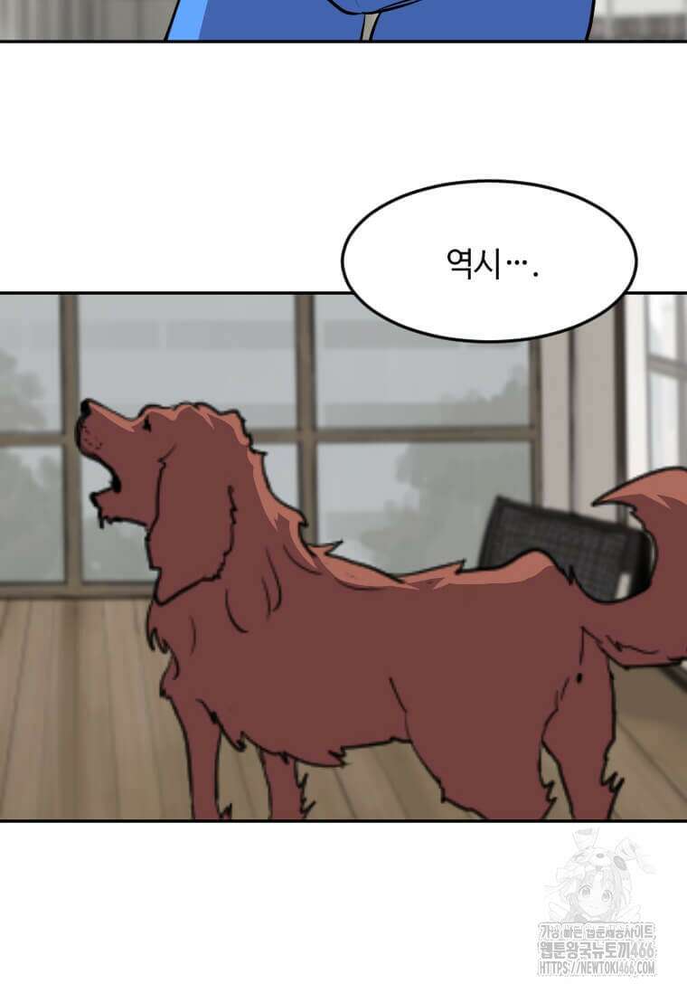 다른 세계에서 주워왔습니다 245화 14