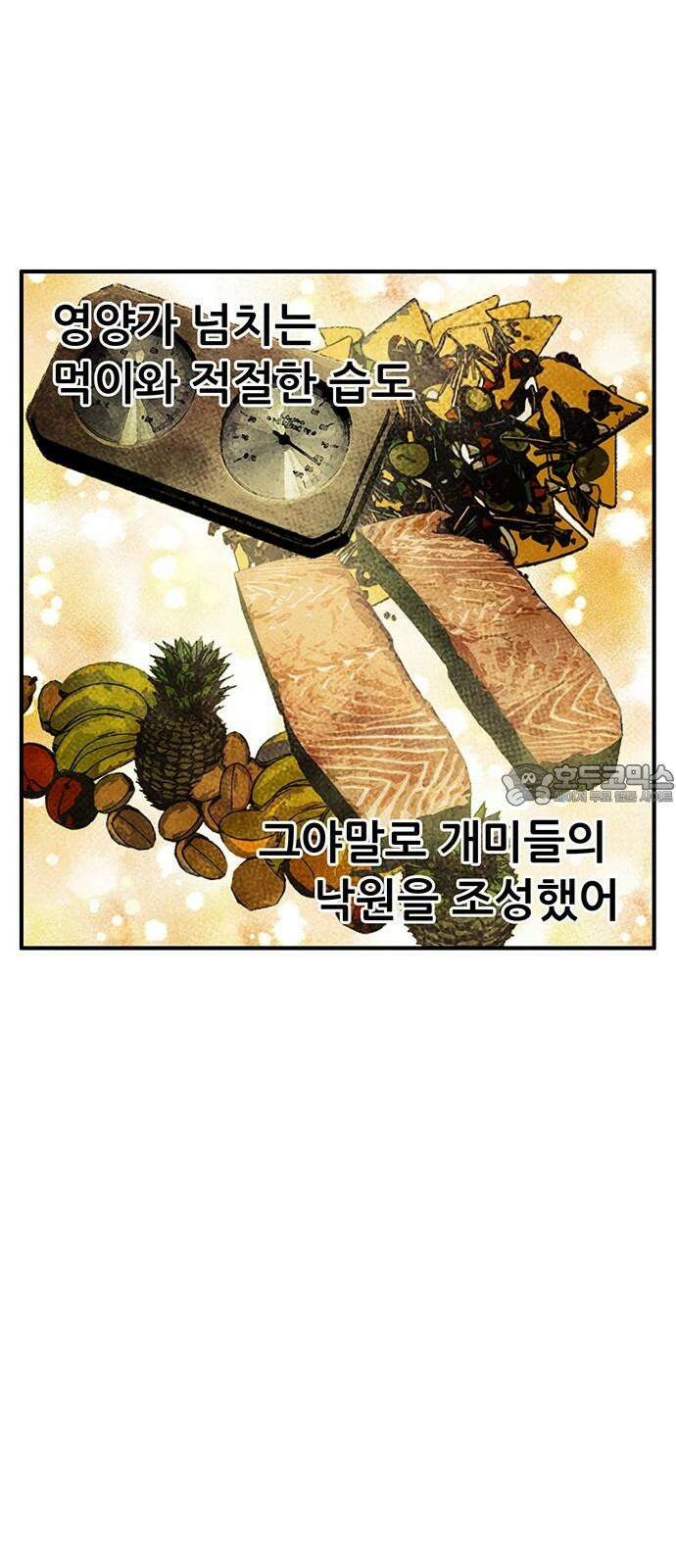 만물의 영장 FINAL 44화 VS 디아블<1> 60