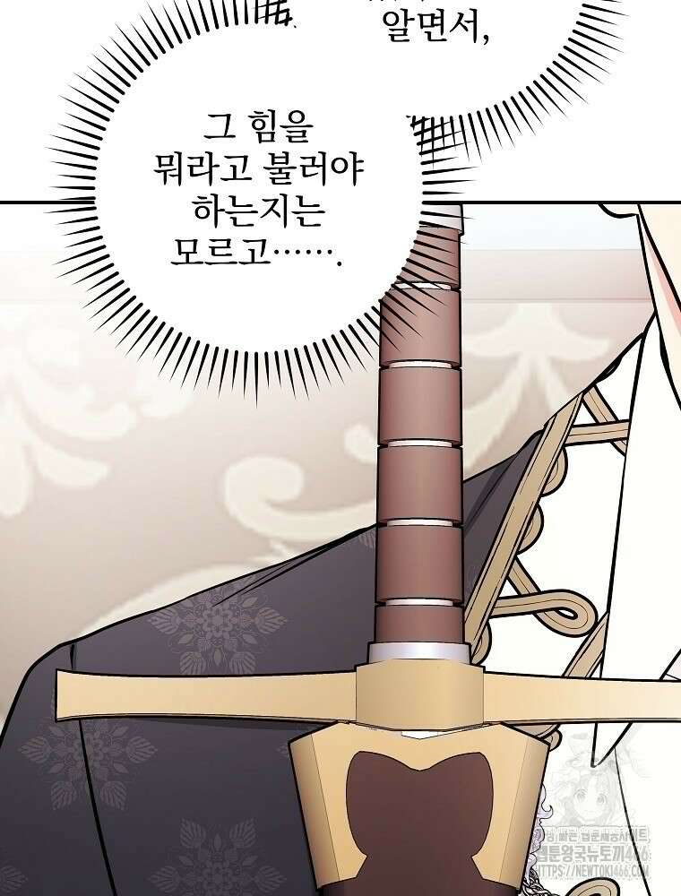 용사의 어머니가 되겠습니다 94화 13