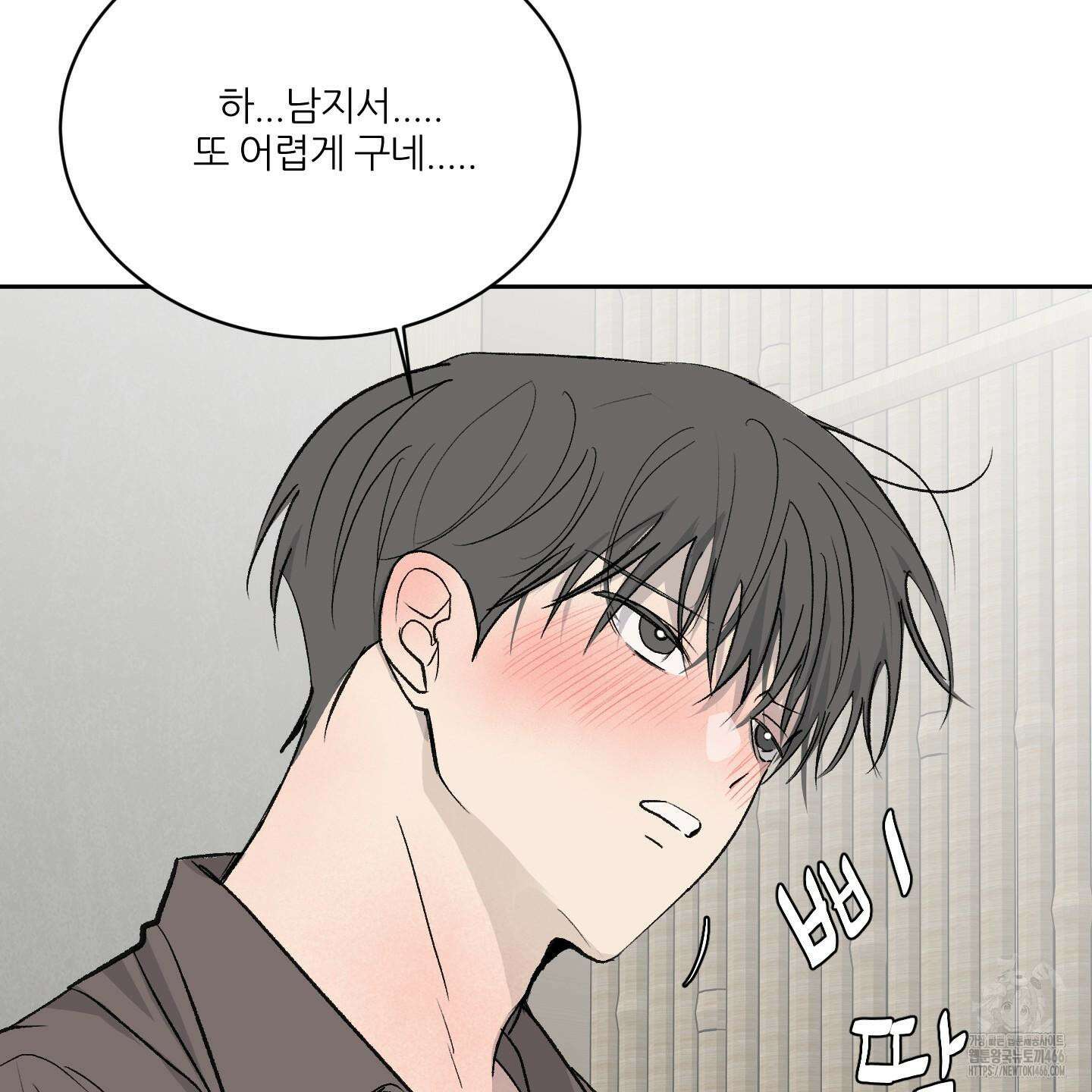 행방불명 로맨스 42화 16