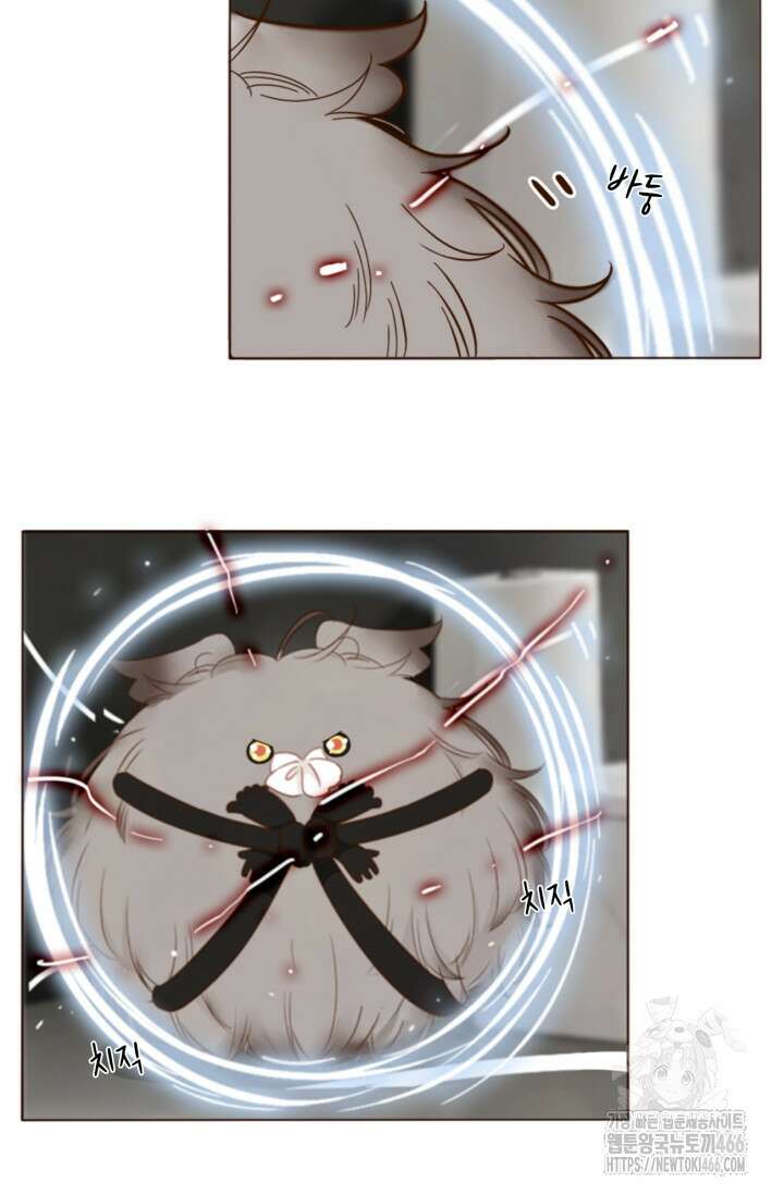 완벽한 개새끼 59화 2