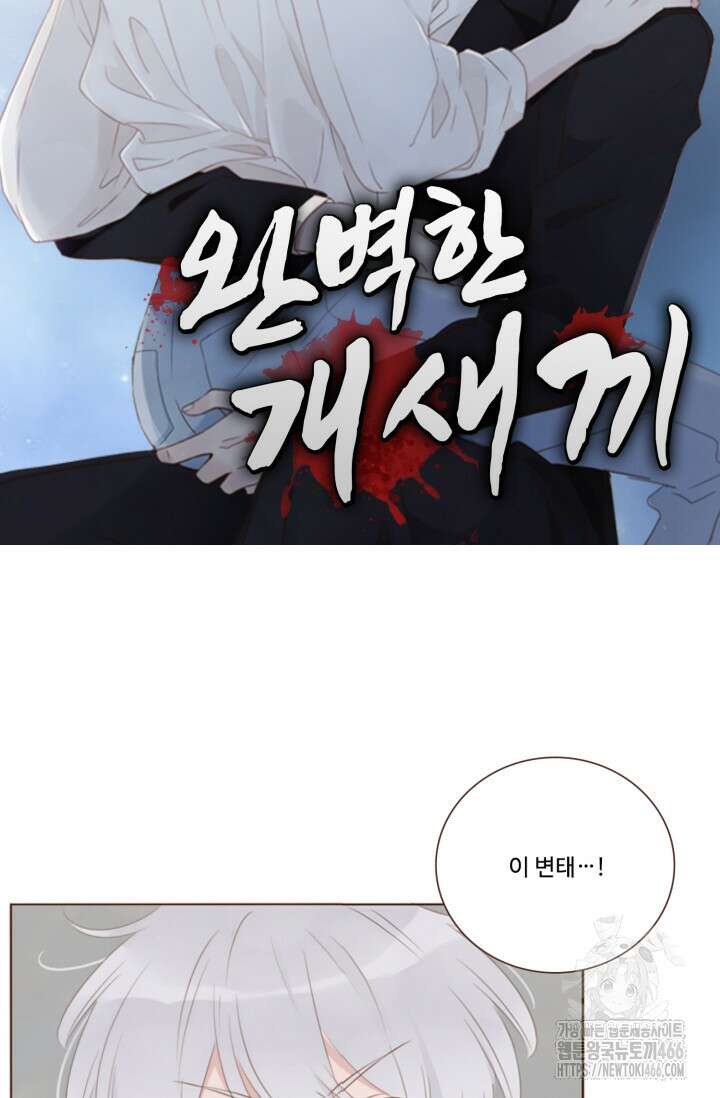 완벽한 개새끼 59화 7