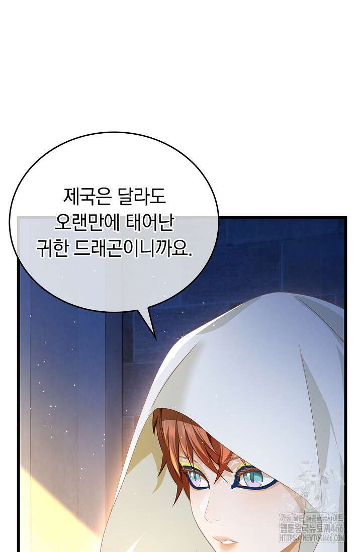 황태자의 용으로 태어났다 29화 5