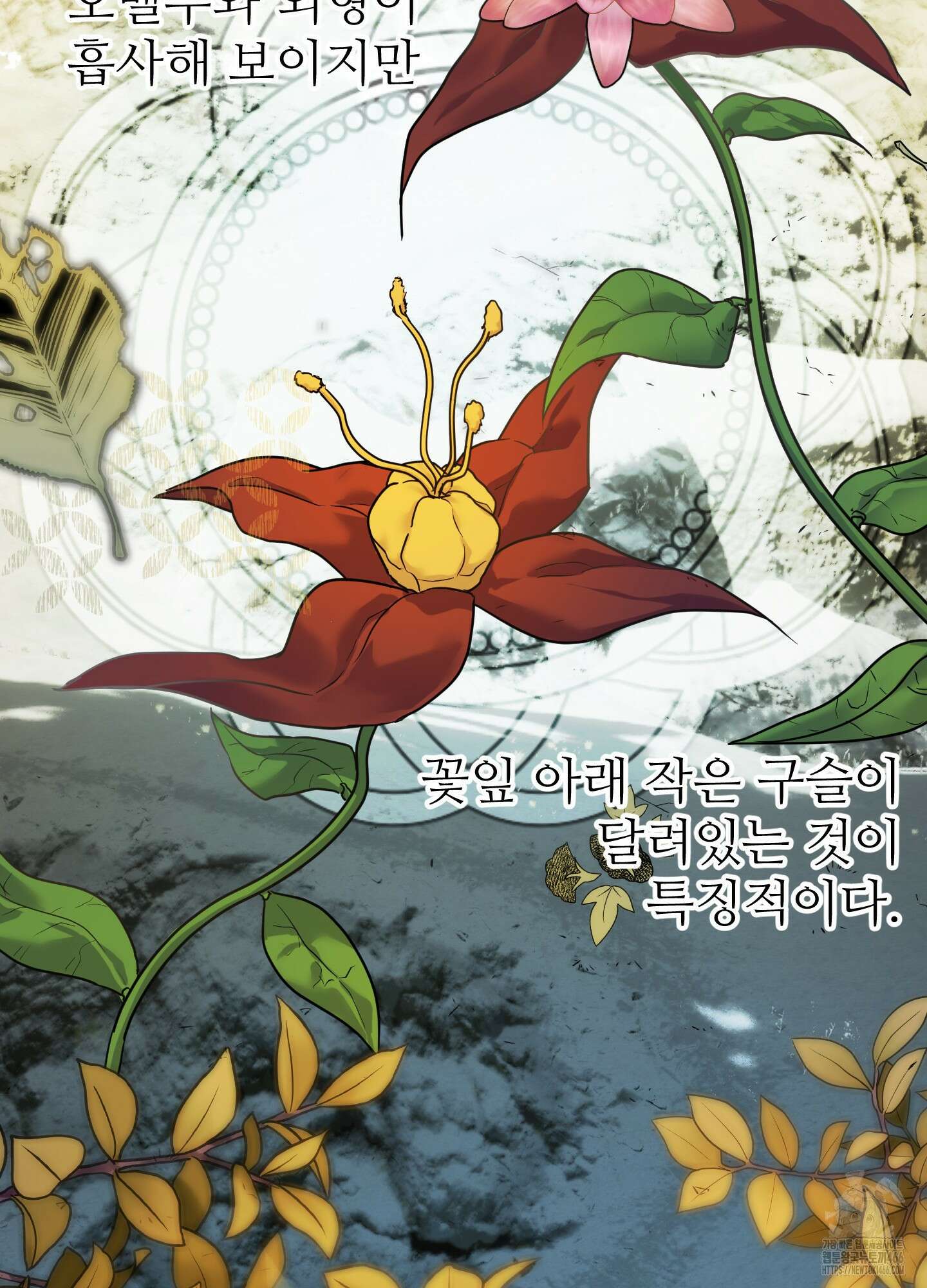 알로샤의 꽃 21화 54