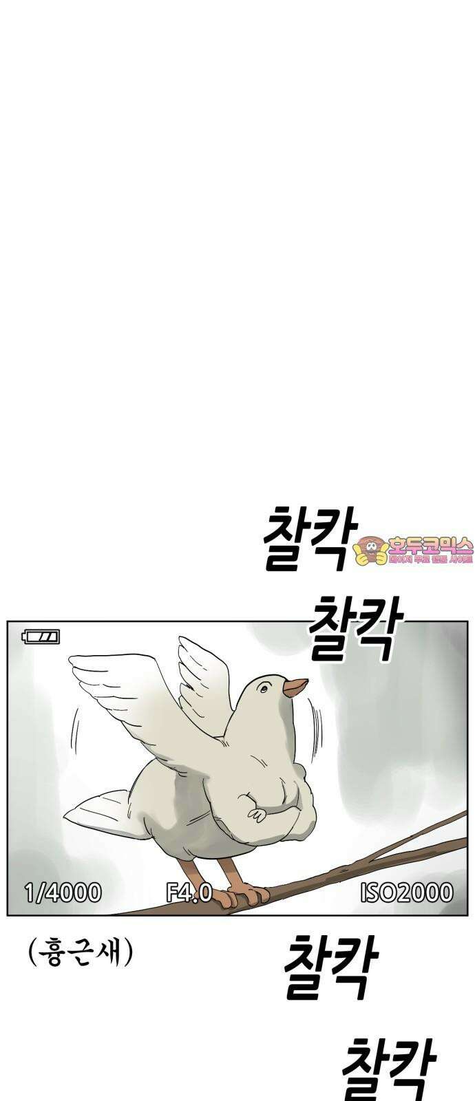 괴양이 70화 철새 1