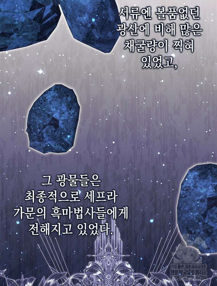 점괘보는 공녀님 79화 26