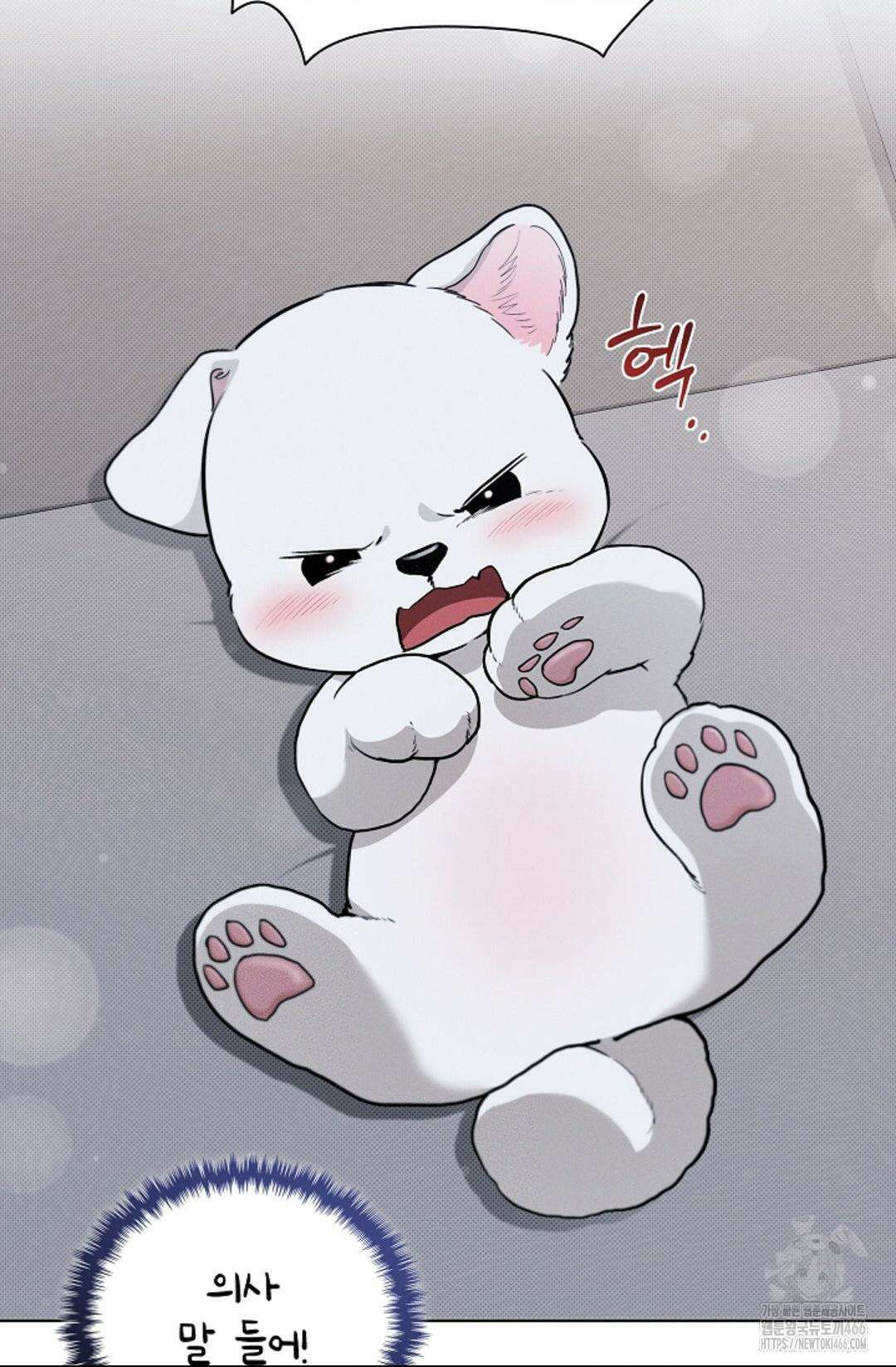 강아지는 건드리지 마라 23화 13