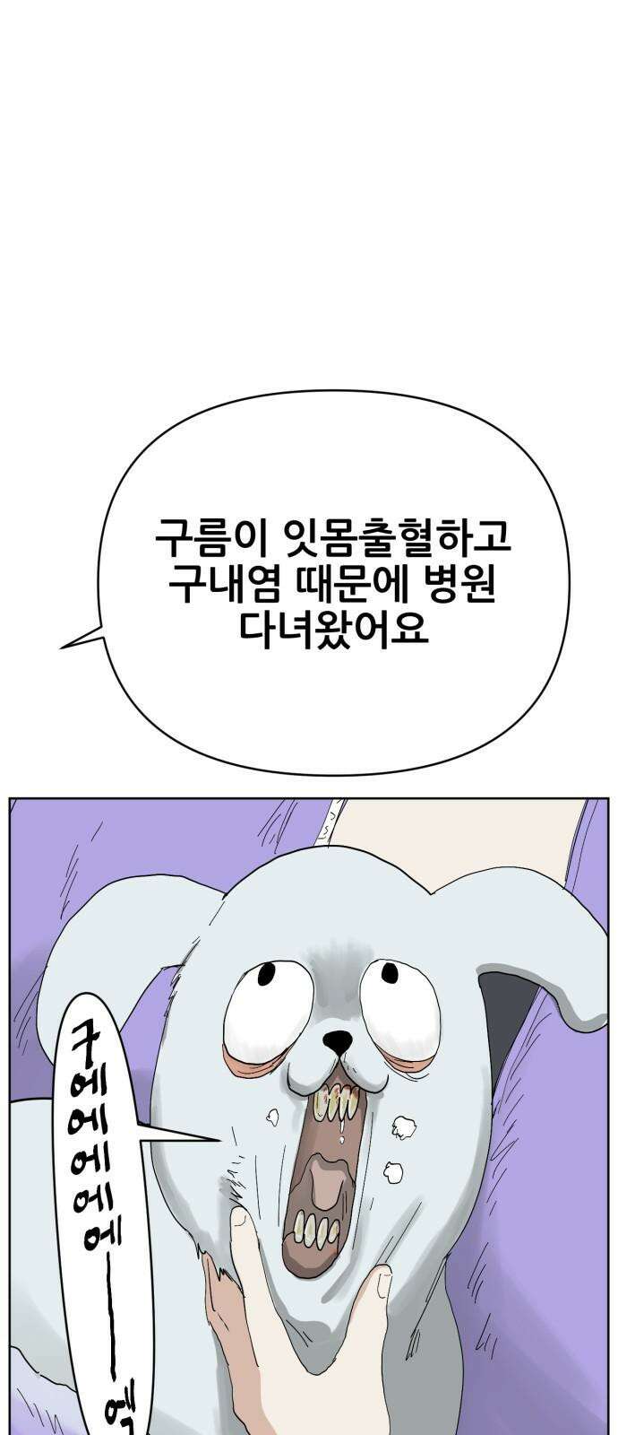 괴양이 72화 양치 4