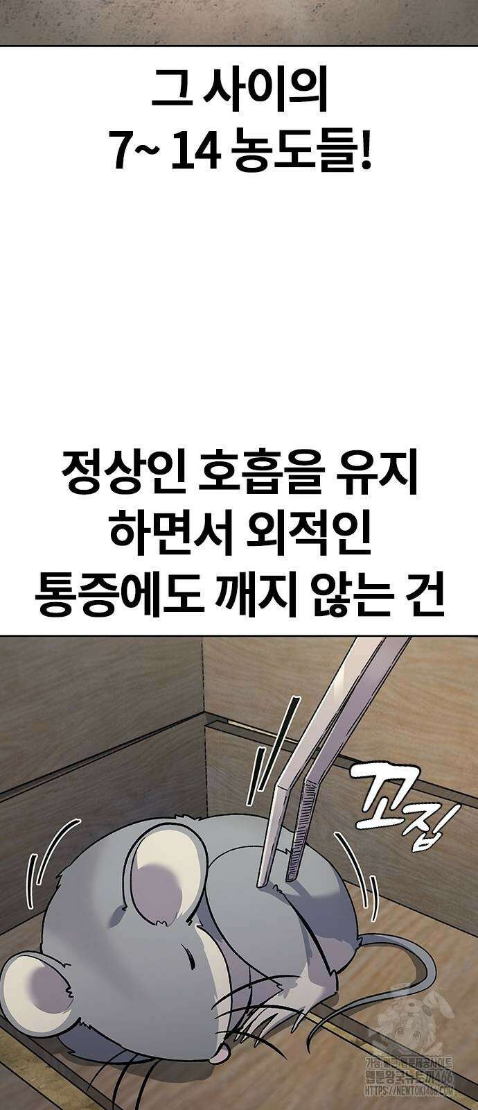 닥터, 조선 가다 28화 48