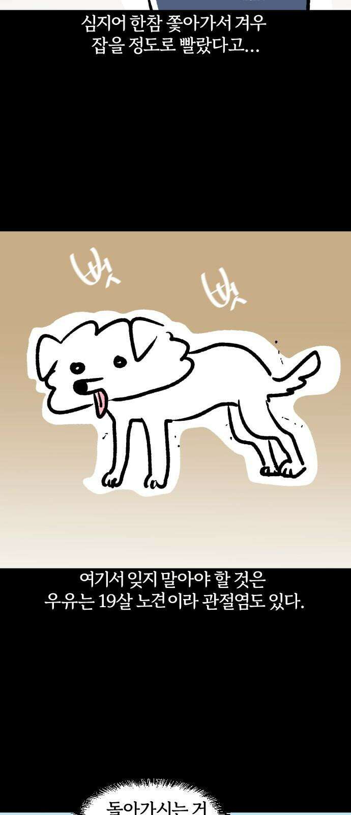 개집사 46화: 달려라 우유 11