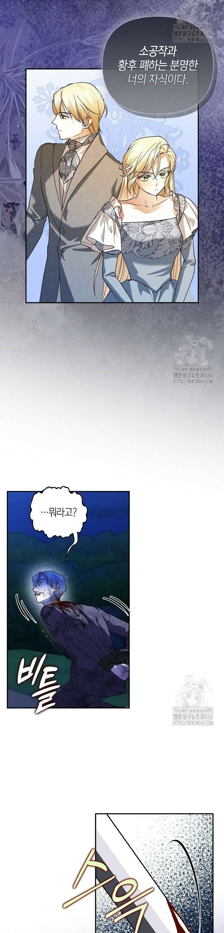 황제의 아이를 숨기는 방법 113화 9