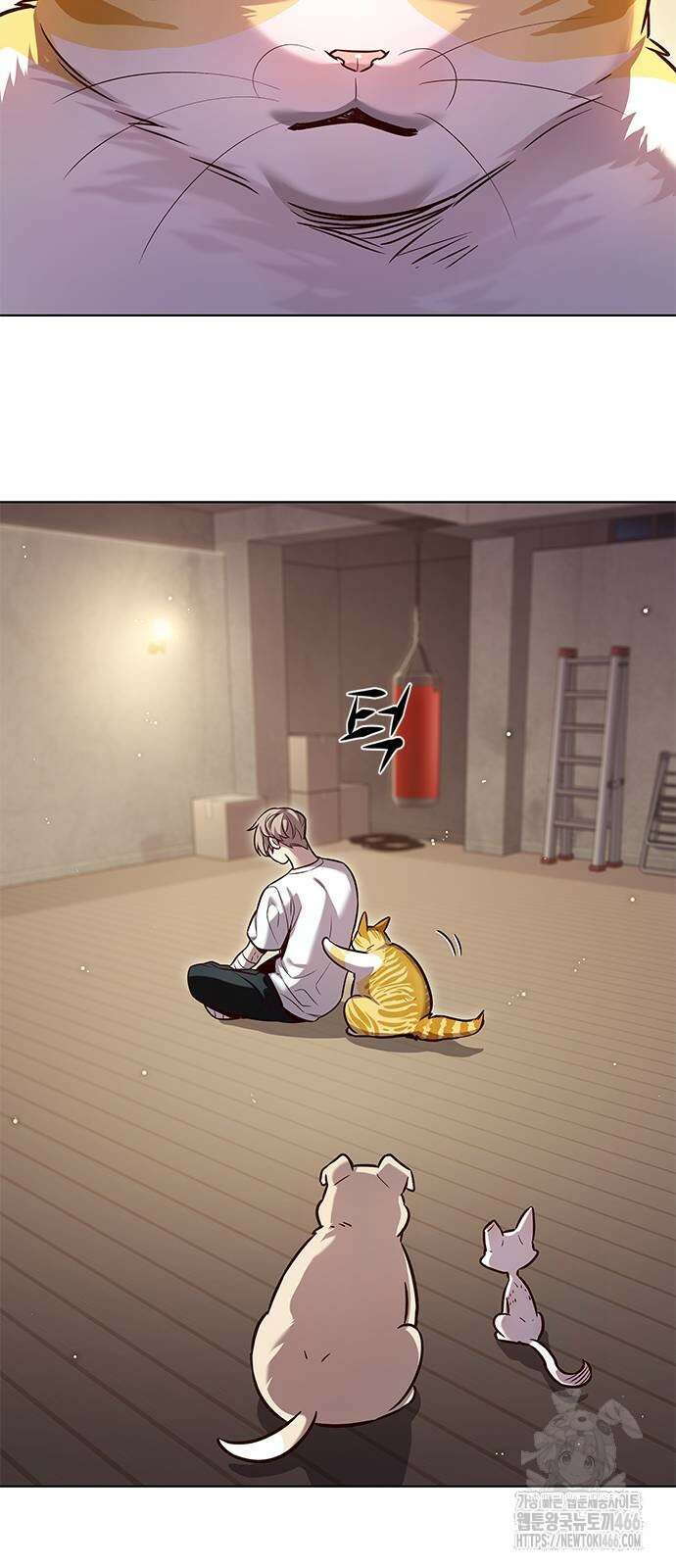 일렉시드 330화 14