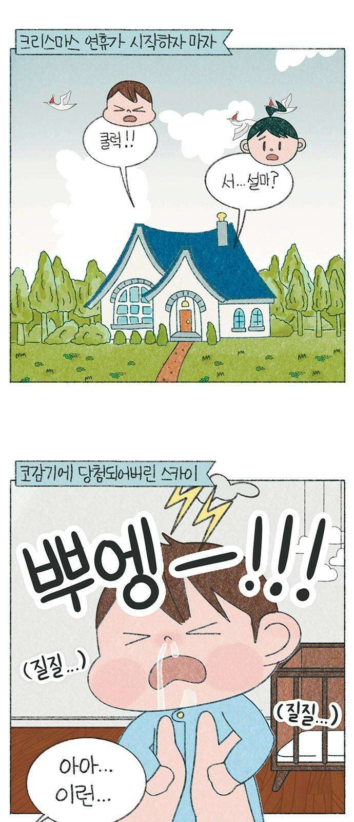 마님이네 미국 시골집 이야기 143화 크리스마스 전통(?) 2