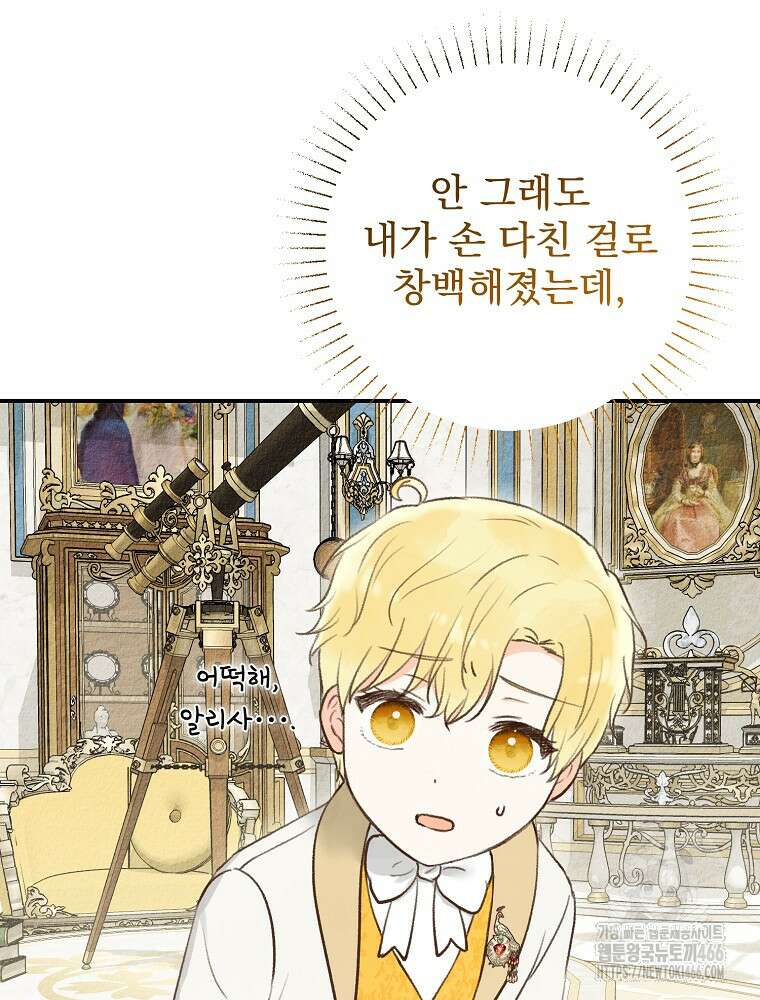 알리사와 마법일기 32화 53