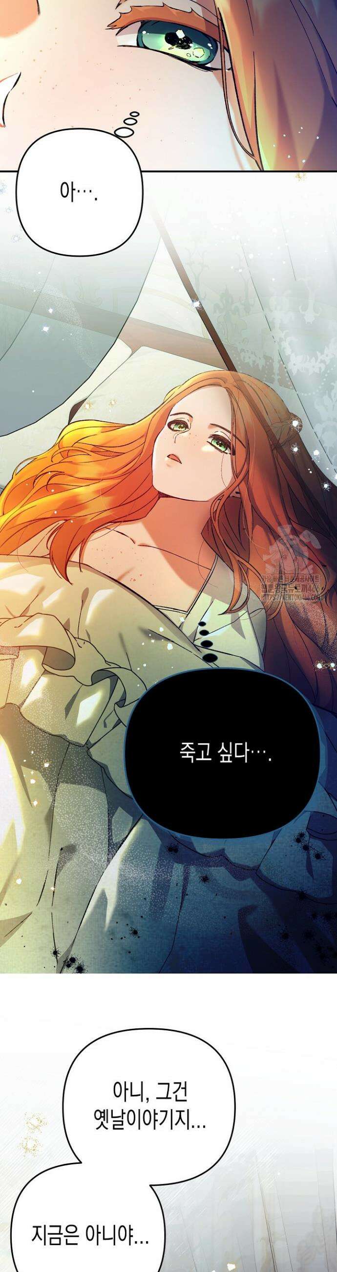 흑막 공작의 못난이 부인 1화 2