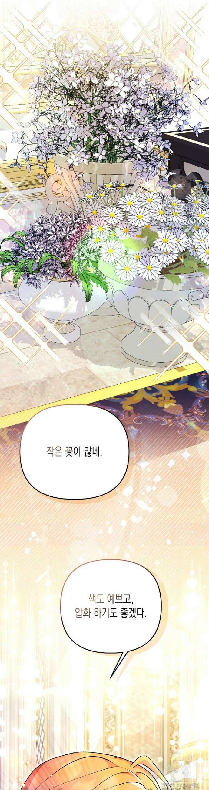 흑막 공작의 못난이 부인 11화 28