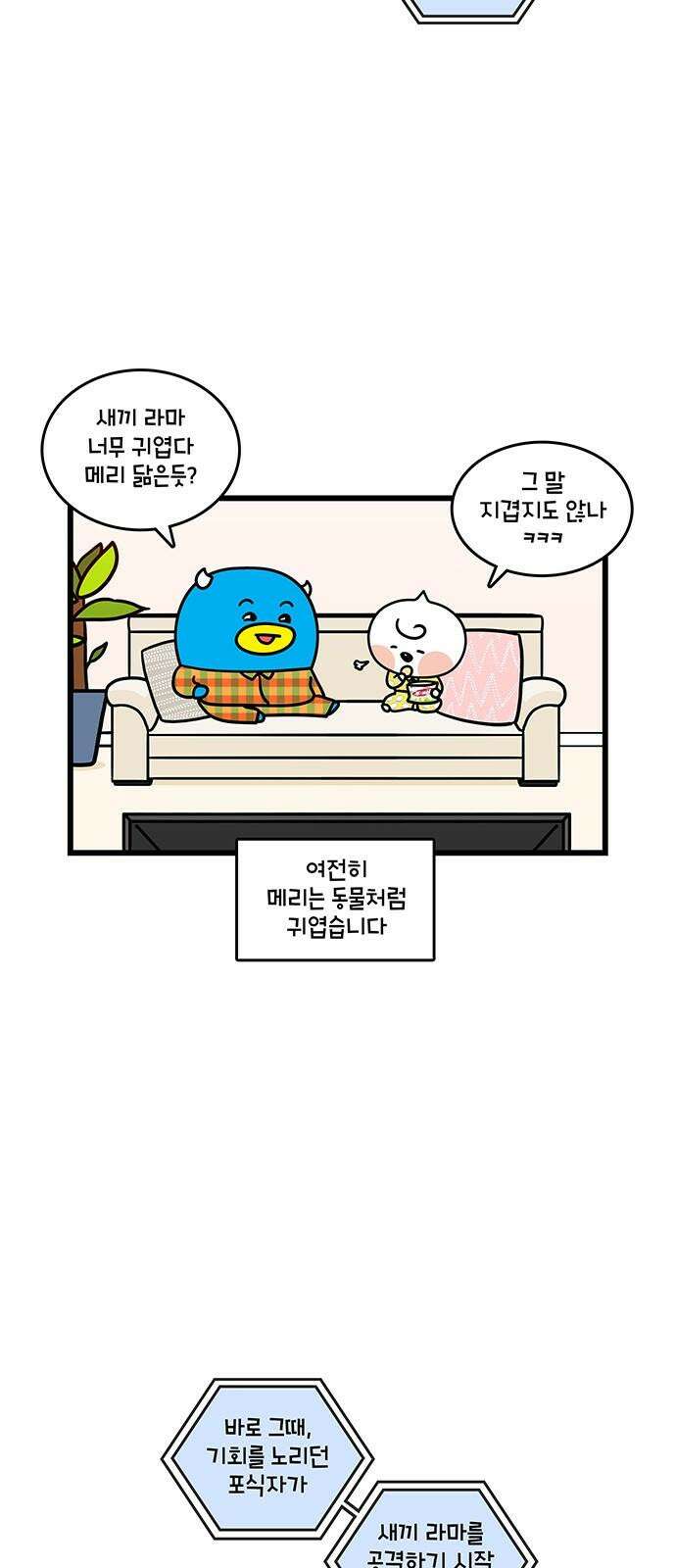 윌유메리미 시즌2 847화 10년차 부부 근황_귀여워 2
