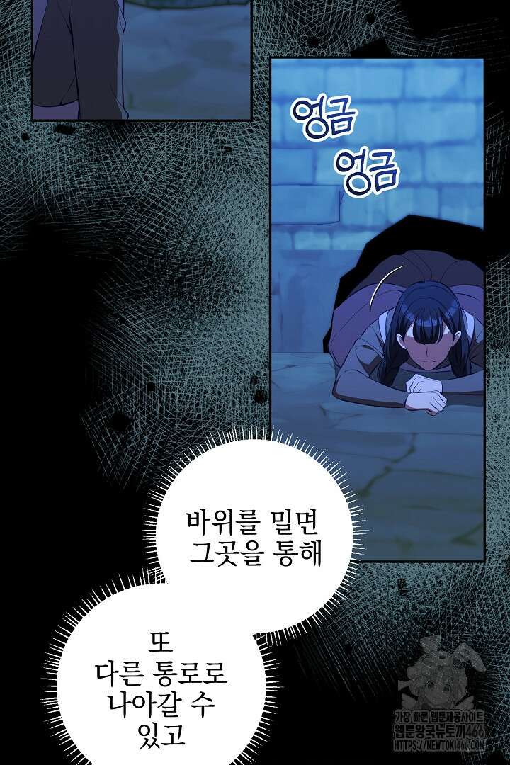 폭군에게 찍힌 민폐 황후입니다 40화 67