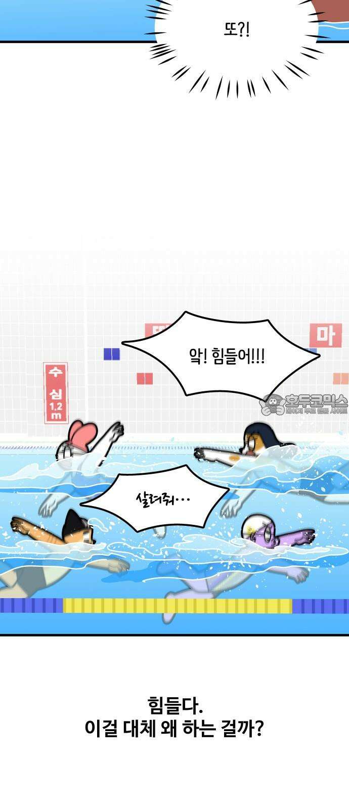 수영만화일기 시즌3 5화 머리를 들어라! 헤ᄃ 15
