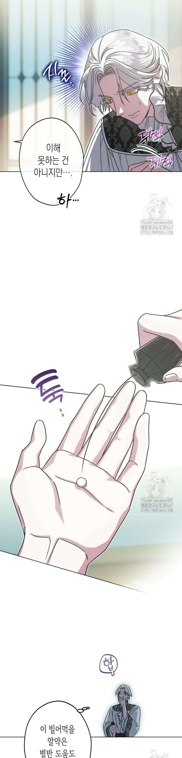 피폐 역하렘 남주들의 막내 처제가 되었다 20화 13
