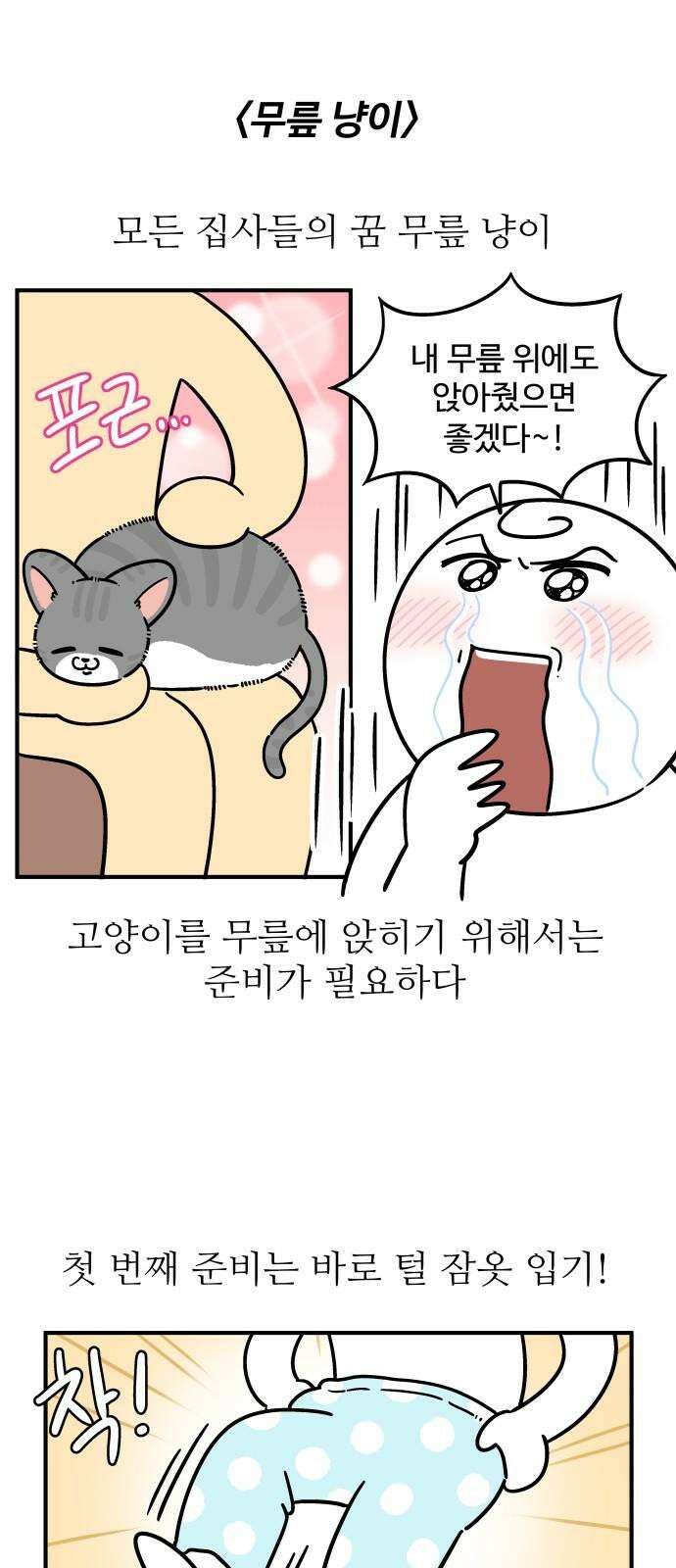 노곤하개 쇼츠 무릎냥이 2