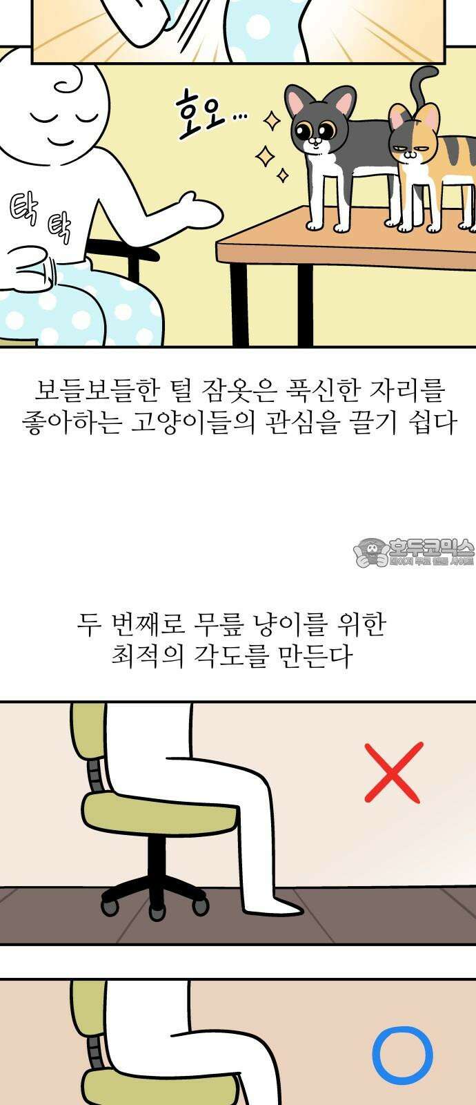 노곤하개 쇼츠 무릎냥이 3
