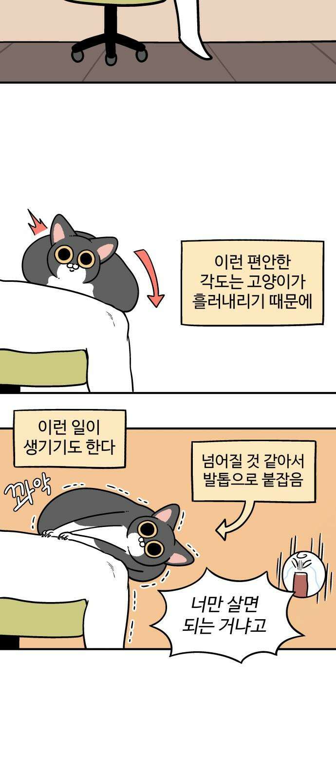 노곤하개 쇼츠 무릎냥이 4