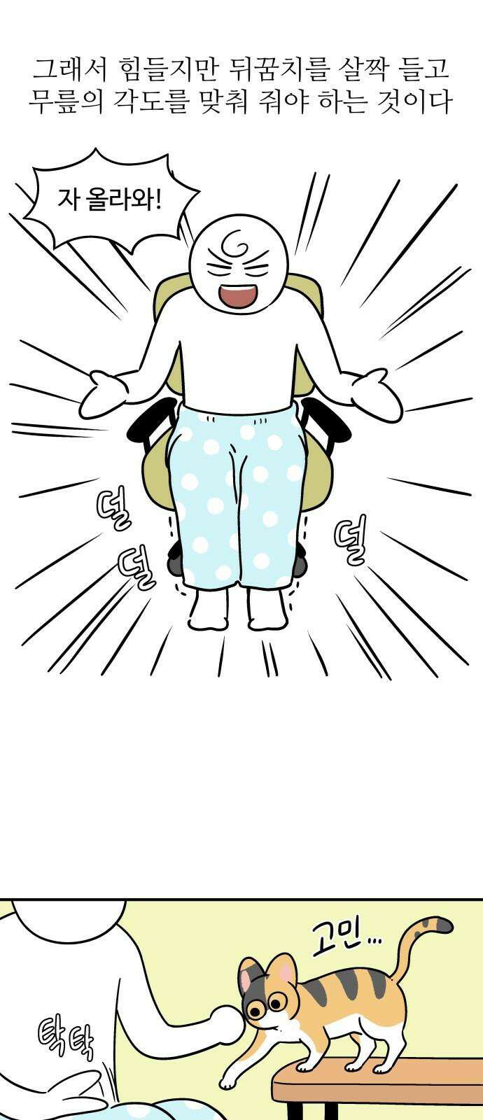노곤하개 쇼츠 무릎냥이 5