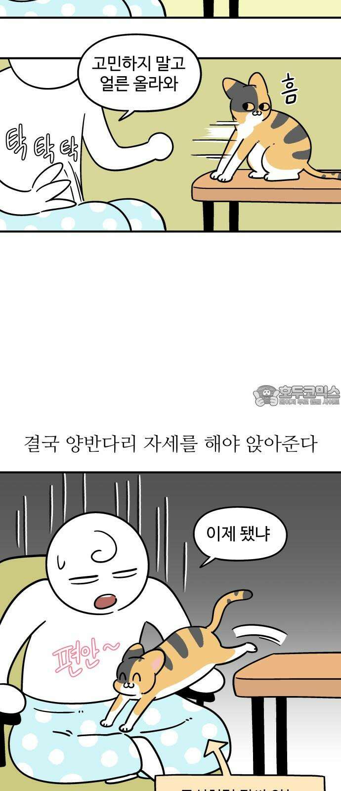 노곤하개 쇼츠 무릎냥이 6