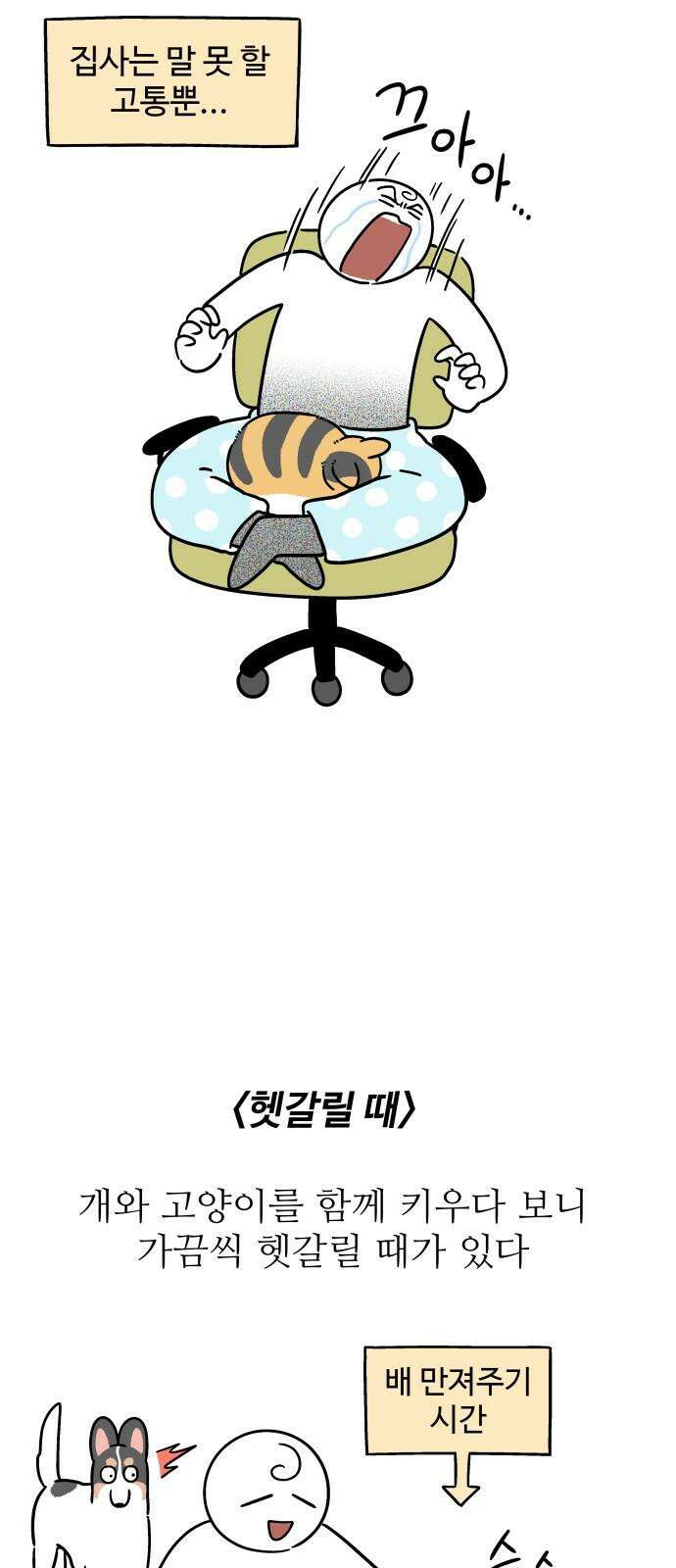 노곤하개 쇼츠 무릎냥이 8