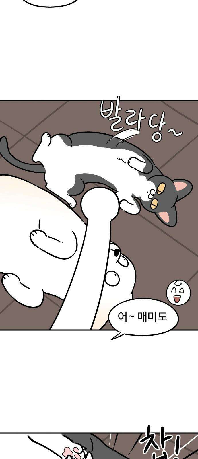 노곤하개 쇼츠 무릎냥이 10