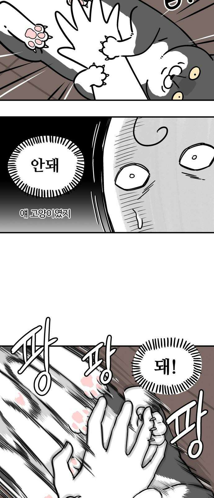 노곤하개 쇼츠 무릎냥이 11