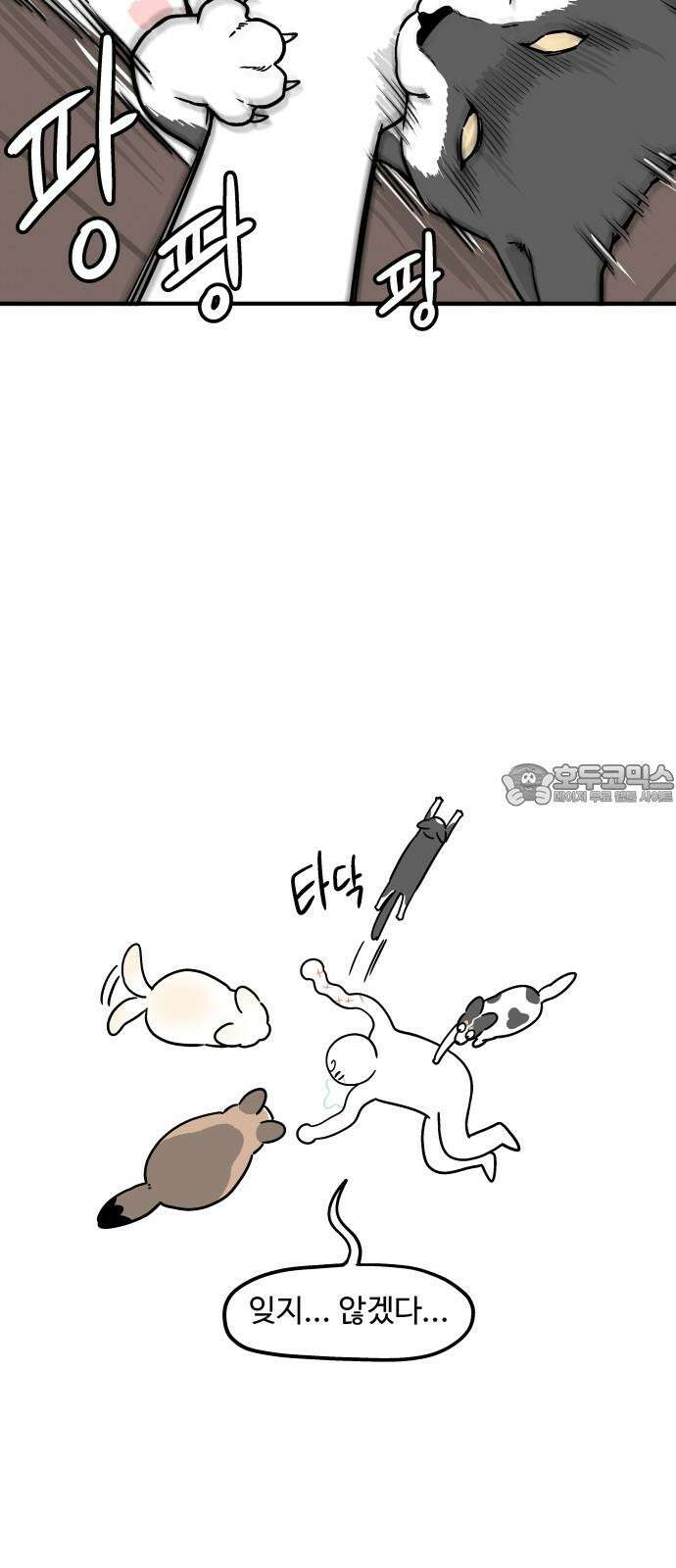 노곤하개 쇼츠 무릎냥이 12