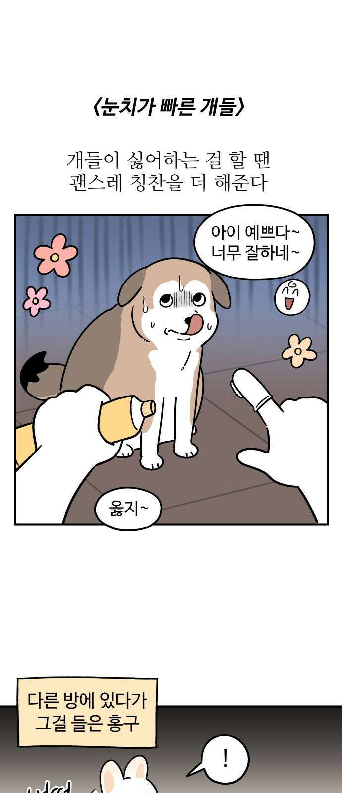 노곤하개 쇼츠 무릎냥이 13