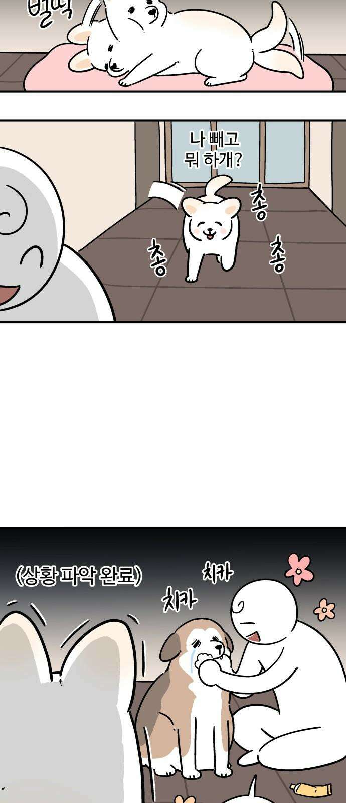 노곤하개 쇼츠 무릎냥이 14