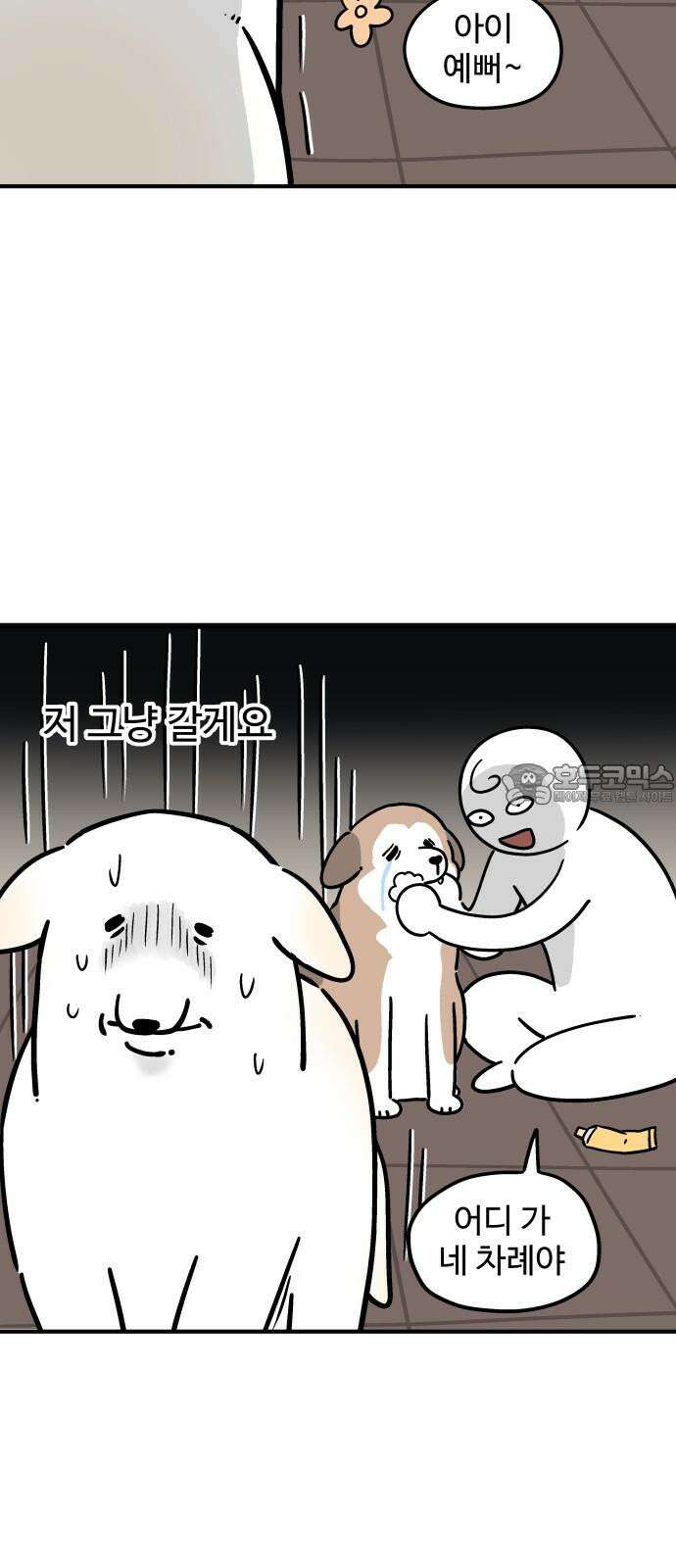노곤하개 쇼츠 무릎냥이 15