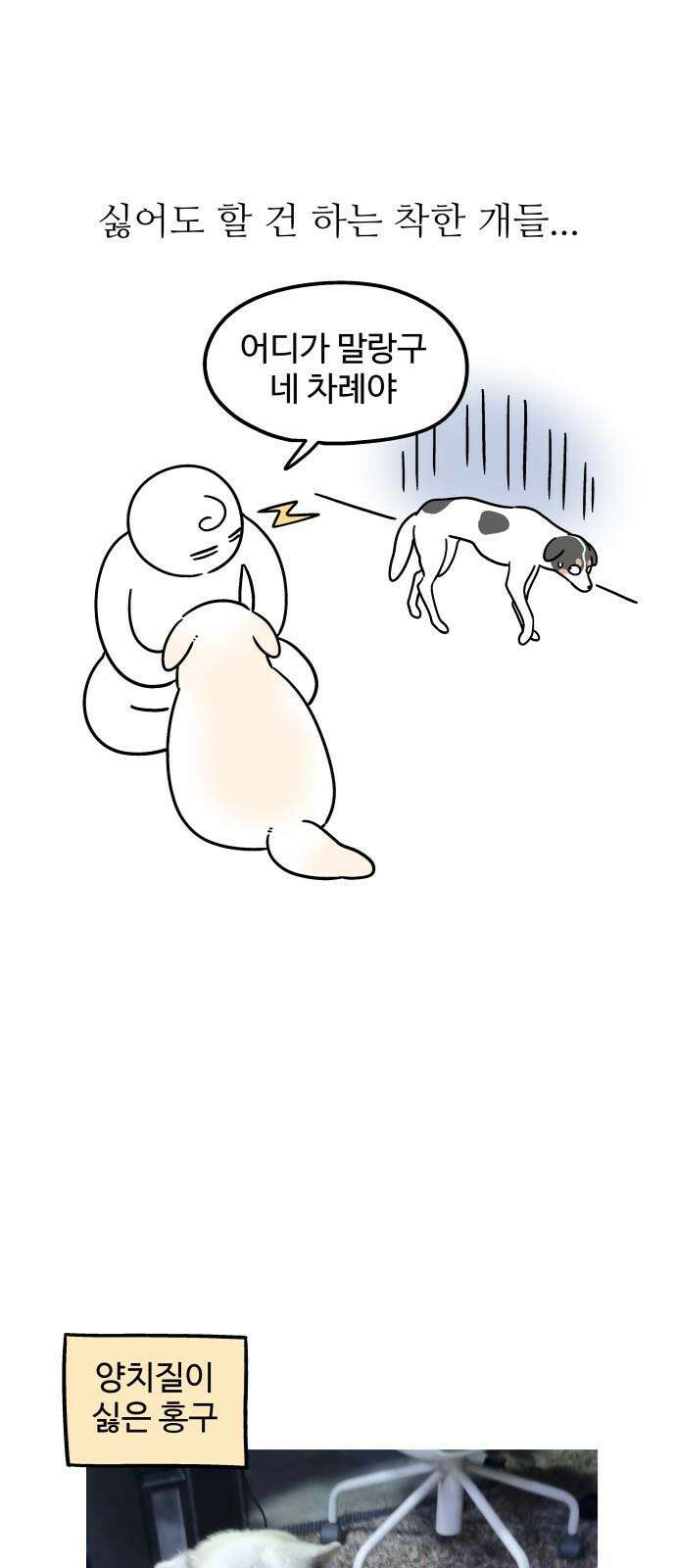 노곤하개 쇼츠 무릎냥이 16
