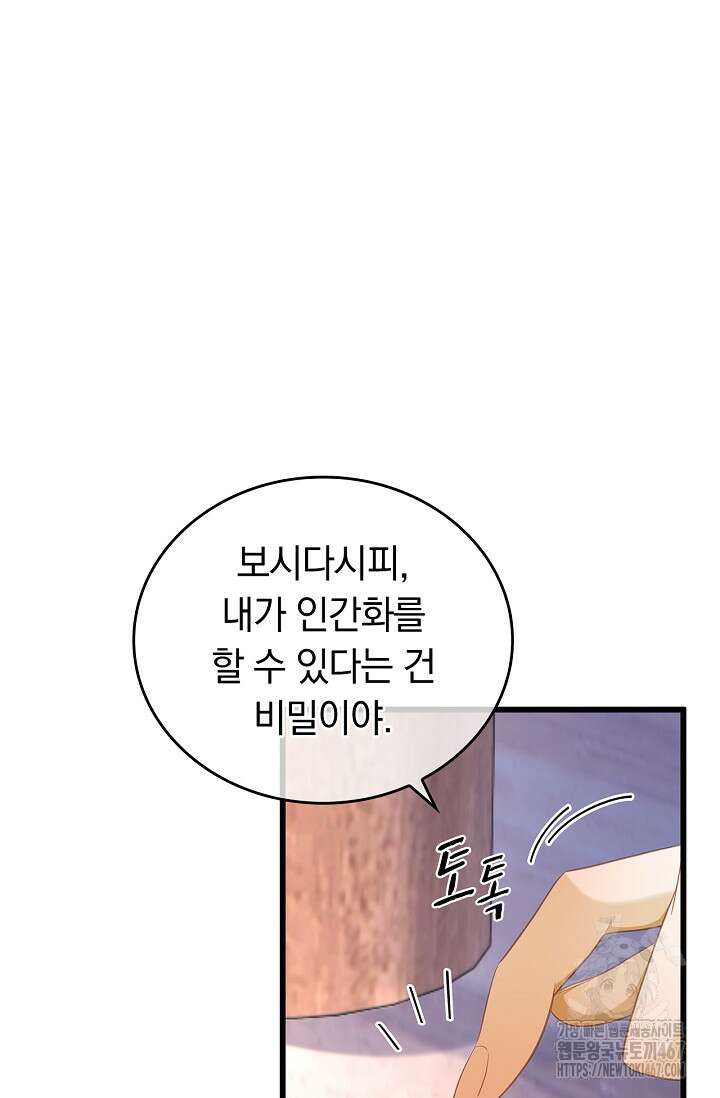 황태자의 용으로 태어났다 43화 2