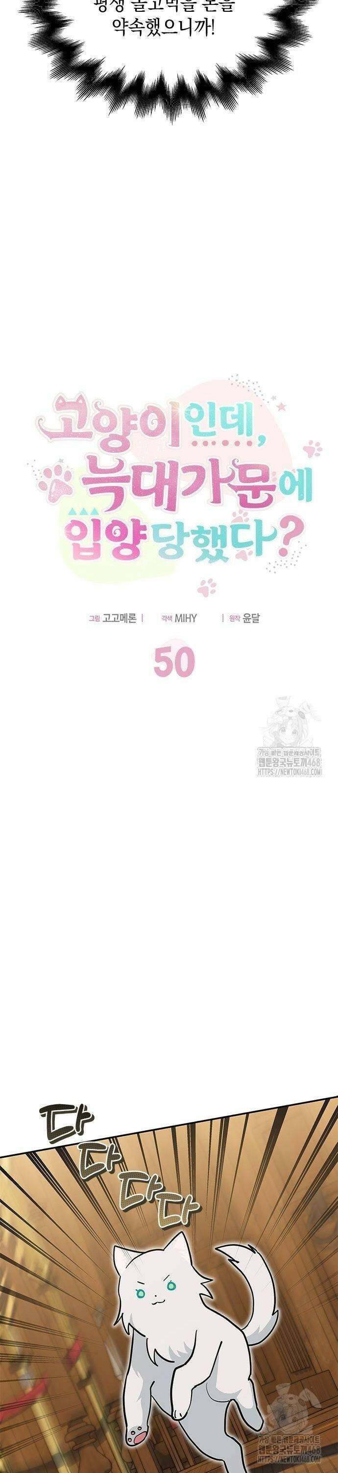 고양이인데, 늑대 가문에 입양당했다? 50화 6