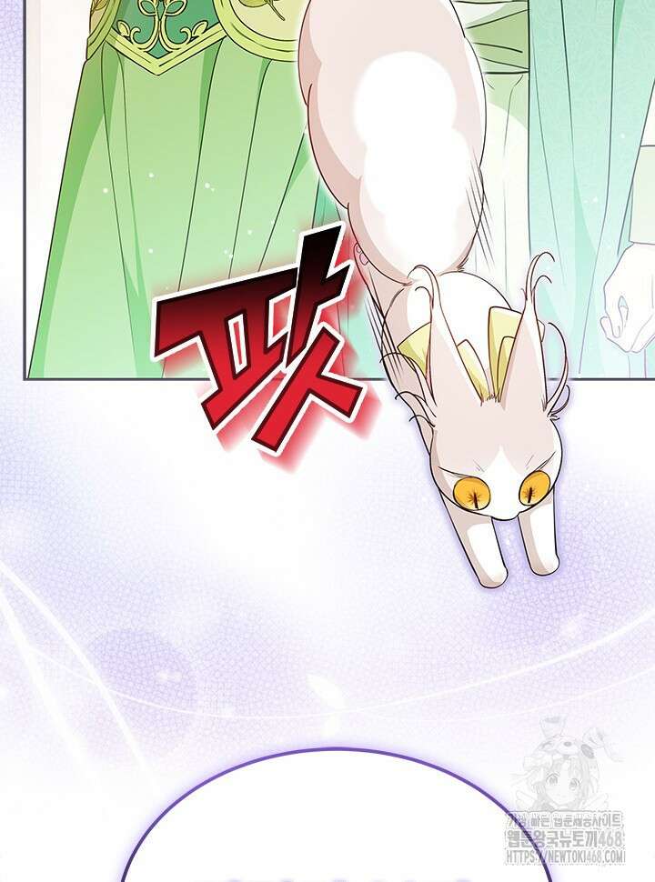 총애를 거절하는데 왜 집착하나요 49화 14