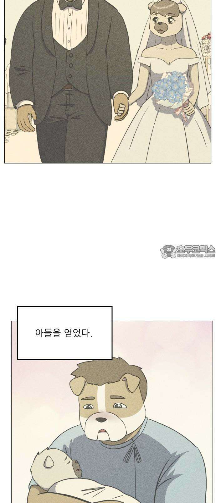 닥터앤닥터 병원일기 97화 판도라2 3