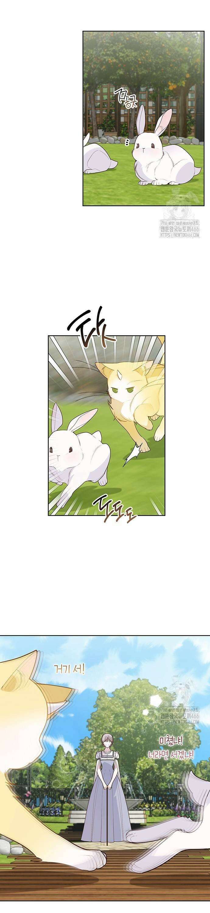 베이비 폭군 95화 : 메이블을 떠나라, 에이단 29