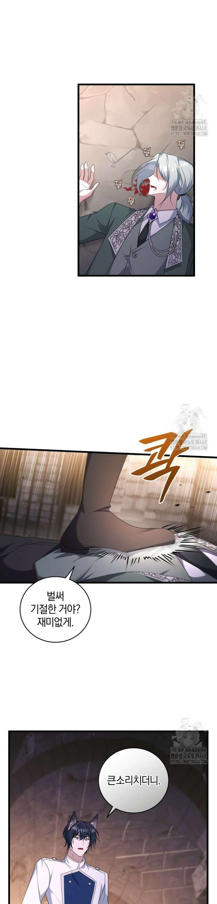 빼앗긴 가문의 주인이 되려 합니다 85화 13