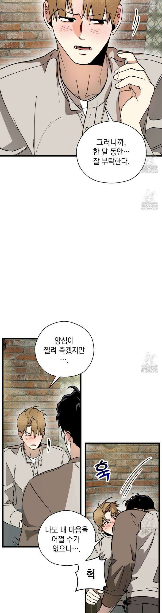 투 마이 발렌타인 (To my valentine) 42화 22