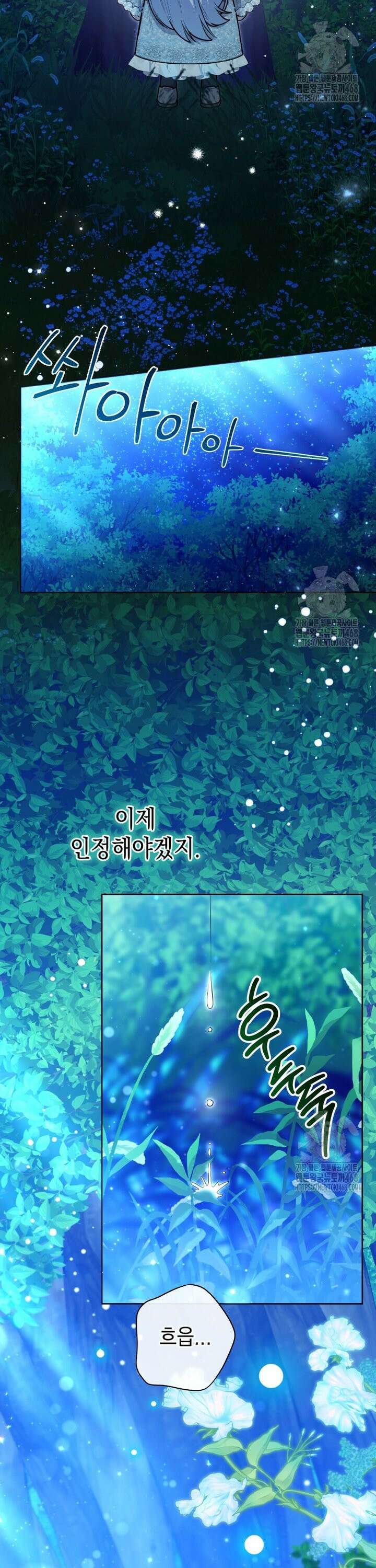 흑막 범고래 아기님 50화 6