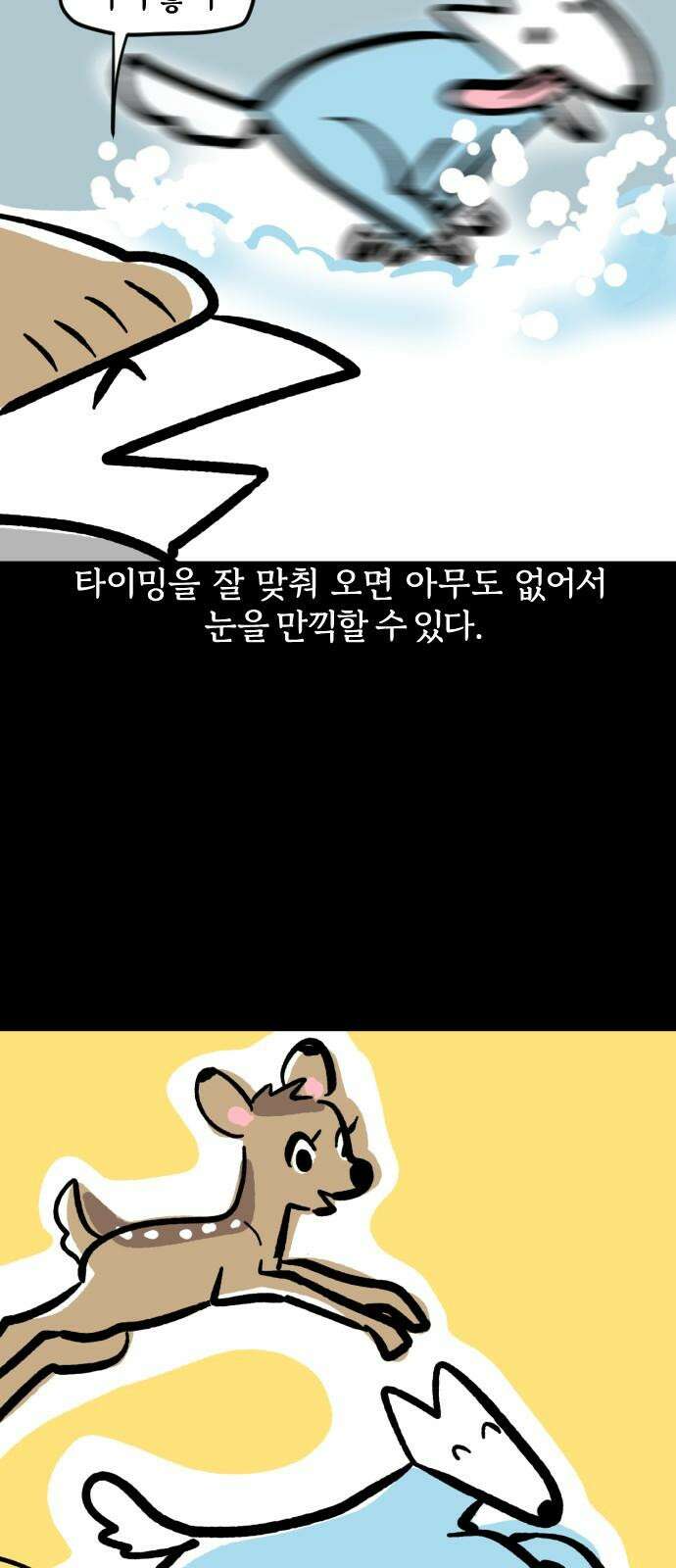 개집사 63화: 눈개 10