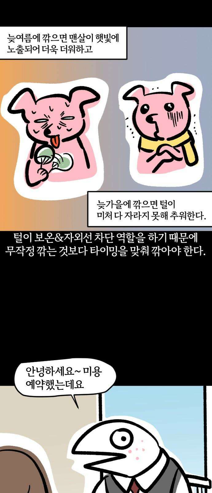 개집사 - 64화: 할매의 미용실 게임 5