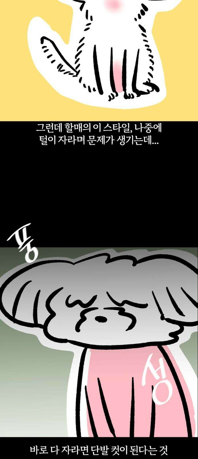 개집사 - 64화: 할매의 미용실 게임 13